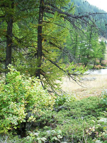 Website that you should check out